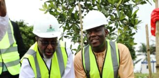 Environment, Niger Delta Ministers Plants Mangrove Trees In Commemoration Of 2024 International Mangrove Day