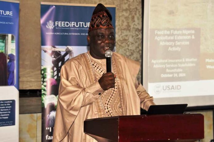 The Representative of the Minister of Agriculture and Food Security, Director, Federal Department of Agricultural Extension Services, Dr Deola Tayo Lordbanjou, during the Roundtable Meeting in Abuja.