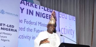 The Minister of Agriculture and Food Security, Sen Abubakar Kyari, represented by the Director, Federal Department of Agricultural Extension Services, Dr. Deola Tayo Lordbanjou, during the National Impact Workshop in Abuja.