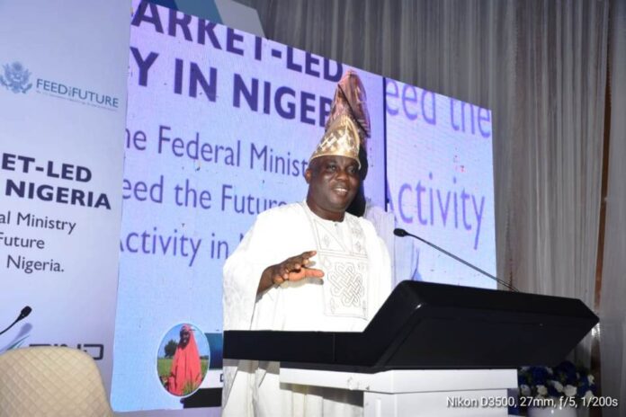 The Minister of Agriculture and Food Security, Sen Abubakar Kyari, represented by the Director, Federal Department of Agricultural Extension Services, Dr. Deola Tayo Lordbanjou, during the National Impact Workshop in Abuja.