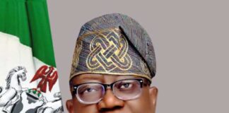 Prof. Tunji Olaopa - Hon. Chairman, Fed. Civil Service Comissions