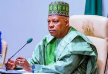 Vice President, Senator Kashim Shettima