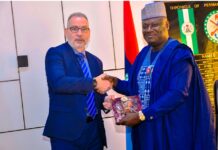 Nigeria To Strengthen Defence Ties With Germany