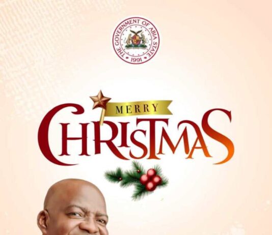 Abia State Governor, Alex Otti