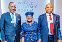 AT 2025 WEF, VP Shettima Markets Nigeria, Africa As Investment Destination