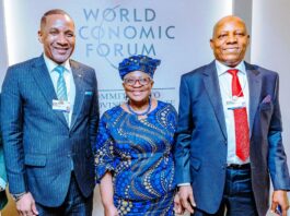 AT 2025 WEF, VP Shettima Markets Nigeria, Africa As Investment Destination