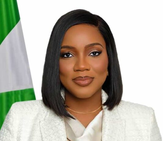 Executive Secretary of Pension Transitional Arrangement Directorate (PTAD), Tolulope Odunaiya