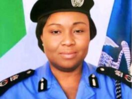 Edo State Commissioner of Police, Betty Otimenyin