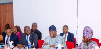 Finance Minister Highlights Capital Market Growth In Senate Budget Review