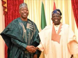 Zulum Applauds Tinubu for approving the reconstruction of Alau Dam