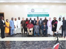 Nigeria Sets Strategic Agenda for the 2025 Global Disability Summit