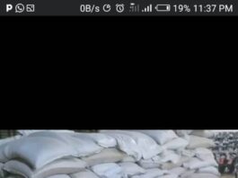 Federal Government Hands Over Relief Items to Borno State Returnees from Chad