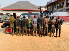 NSCDC Uncovers Illegal Refinery, Arrests 9 Suspects In Abia State