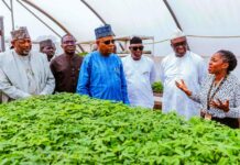 Vice President Kashim Shettima (middle); Deputy Governor of Oyo State, Alhaji Bayo Lawal (3rd from right); Director-General of the International Institute of Tropical Agriculture (IITA), Dr. Simeon Ehui (2nd from right); Cassava Seed System Specialist, IITA, Dr. Mercy Diebiru-Ojo (far right); Director/CEO IITA Business Incubation Platform, Dr. Adebowale Akande (2nd from left); and Minister of Agriculture and Food Security, Sen. Abubakar Kyari (far left) during an assessment visit of the Seed Multiplication Centre at the IITA headquarters in Ibadan, Oyo State on Tuesday (25/02/2025).