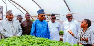 Vice President Kashim Shettima (middle); Deputy Governor of Oyo State, Alhaji Bayo Lawal (3rd from right); Director-General of the International Institute of Tropical Agriculture (IITA), Dr. Simeon Ehui (2nd from right); Cassava Seed System Specialist, IITA, Dr. Mercy Diebiru-Ojo (far right); Director/CEO IITA Business Incubation Platform, Dr. Adebowale Akande (2nd from left); and Minister of Agriculture and Food Security, Sen. Abubakar Kyari (far left) during an assessment visit of the Seed Multiplication Centre at the IITA headquarters in Ibadan, Oyo State on Tuesday (25/02/2025).