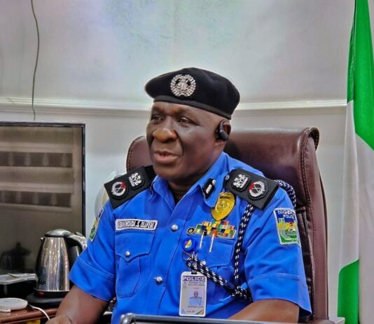 Delta State Police Commissioner, CP. Abaniwonda Olufemi.