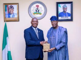 Honourable Minister of Finance and Coordinating Minister of the Economy, Mr. Wale Edun