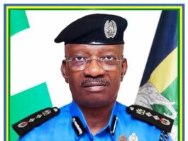 Inspector-General of Police, IGP Kayode Adeolu Egbetokun, Ph.D., NPM