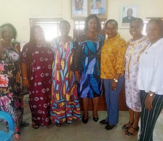 Nigerian Association Of Women Journalists To Engage In ICT Training