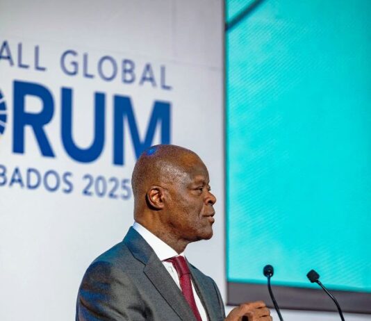 Wale Edun Champions Global Economic Stability, Sustainable Development At G20 Summit