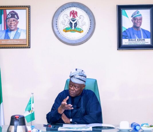 Honourable Minister of Finance and Coordinating Minister of the Economy, Mr Wale Edun