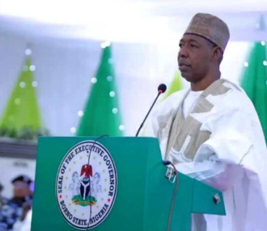 Borno State Governor, Babagana Umara Zulum