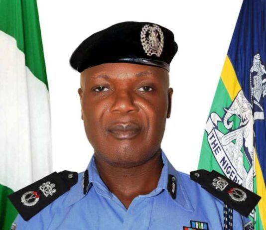 CP Emenari Ifeanyi Innocent , PhD., psc., mnips.
