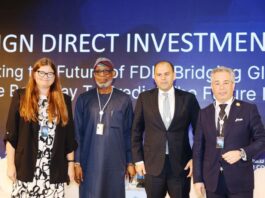 Tariffs May Be A Blessing In Disguise, For Africa - Alake