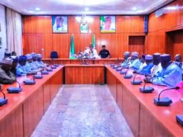 Zulum Urges Chad Basin Authority to Invest in Groundwater Irrigation to Boost Food Security