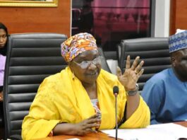 Italy Is Ready To Boost Kaduna’s Investment Drive ---Ambassador