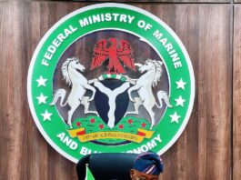 Honourable Minister of Marine and Blue Economy, Adegboyega Oyetola, CON