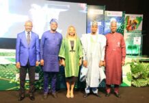 (From Left) The Hon. Min. of State for Industry, FMITI, Sen. John Owan Enoh, the Executive Governor of Lagos State, Represented by the Perm. Sec., Lagos State Ministry of Commerce, Cooperatives, Trade and Investment , Dr. Olugbemiga Ayoola Aina, the Hon. Min. of Trade and Investment, FMITI, Dr. Jumoke Oduwole, the Hon. Min. of State for Works, Barr. Bello M. Goronyo, and the Perm. Sec. FMITI, Amb.Nura Abba Rimi , in a group photograph during the closing ceremony of the 16th meeting of the National Council on Industry, Trade and Investment held in Lagos.