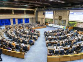 Dangiwa Champions Adequate Housing as Catalyst for Poverty Reduction, Job Creation and Climate Action at UN-Habitat Assembly