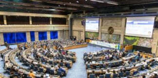 Dangiwa Champions Adequate Housing as Catalyst for Poverty Reduction, Job Creation and Climate Action at UN-Habitat Assembly