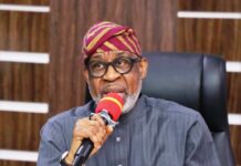 Hon. Minister of Solid Minerals Development, Dr. Dele Alake