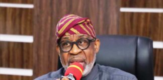 Hon. Minister of Solid Minerals Development, Dr. Dele Alake