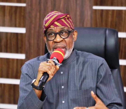 Hon. Minister of Solid Minerals Development, Dr. Dele Alake