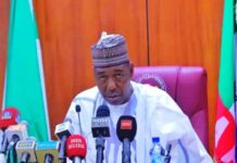 Borno State Governor, His Excellency - Babagana Umara Zulum