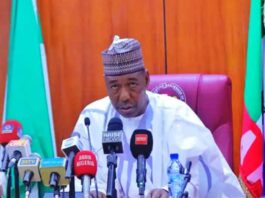 Borno State Governor, His Excellency - Babagana Umara Zulum