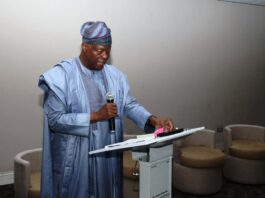 Honourable Minister of Finance and Coordinating Minister of the Economy, Mr Wale Edun