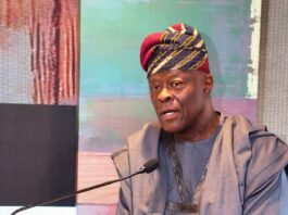 Honourable Minister of Finance and Coordinating Minister of the Economy Mr. Wale Edun