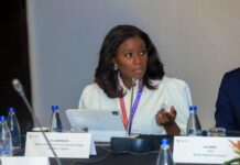 Olu Verheijen, Special Adviser on Energy to the President of Nigeria
