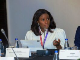 Olu Verheijen, Special Adviser on Energy to the President of Nigeria