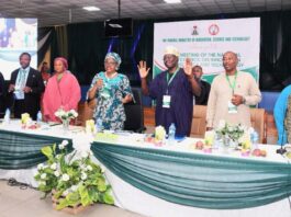 STI: A Great Road Map To National Development- Esuabana