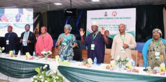 STI: A Great Road Map To National Development- Esuabana