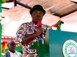 Deputy Governor Engr. Ikechukwu Emetu FNSE