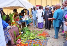 Abia NUJ Agric Show Highlights Importance of Practical Agriculture in Fighting Food Insecurity