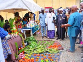 Abia NUJ Agric Show Highlights Importance of Practical Agriculture in Fighting Food Insecurity