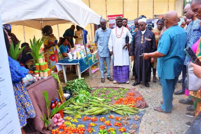 Abia NUJ Agric Show Highlights Importance of Practical Agriculture in Fighting Food Insecurity