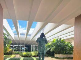 Nigeria Participation In The Brics Minister's Of Health Meeting Held At Brasilia, Brasil